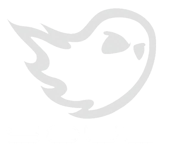 Soul Performance Products